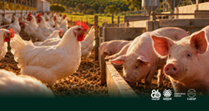 Faesp articula criação de fundo indenizatório para a avicultura e a suinocultura paulistas
