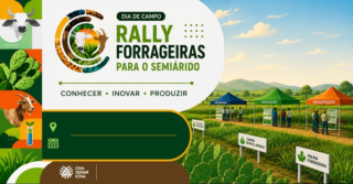 CNA lança Rally Forrageiras para levar tecnologia e conhecimento a produtores do Semiárido