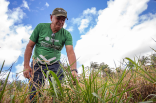 Forrageiras para o Semiárido – Conhecimento muda vida de produtor na Bahia