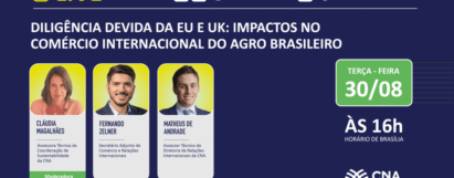 Diligência devida da EU e UK: Impactos no Comércio Internacional do Agro Brasileiro