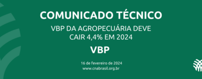 VBP da Agropecuária deve cair 4,4% em 2024