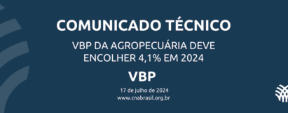 VBP da Agropecuária deve encolher 4,1% em 2024