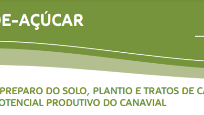 Cana-de-açúcar: Elevação do custo de formação do canavial somada à uma tendência de redução do preço da matéria-prima consolida um cenário desafiador para os produtores.