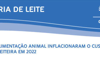 Pecuária de Leite: em dois anos consecutivos de aumento nos custos de produção, as despesas com alimentação animal foram os fatores principais para definir as margens na atividade