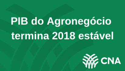 PIB DO AGRONEGÓCIO TERMINA 2018 ESTÁVEL