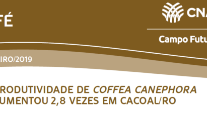 PRODUTIVIDADE DE COFFEA CANEPHORA AUMENTOU 2,8 VEZES EM CACOAL/RO