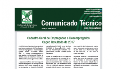 COMUNICADO TÉCNICO: CADASTRO GERAL DE EMPREGADOS E DESEMPREGADOS CAGED RESULTADO DE 2017