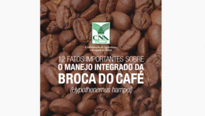 12 FATOS IMPORTANTES SOBRE O MANEJO INTEGRADO DA BROCA DO CAFÉ (HYPOTHENEMUS HAMPEI)