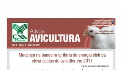 ATIVOS AVICULTURA: MUDANÇA NA BANDEIRA TARIFÁRIA DE ENERGIA ELÉTRICA ELEVA CUSTOS DO AVICULTOR EM 2017 / JULHO 2017
