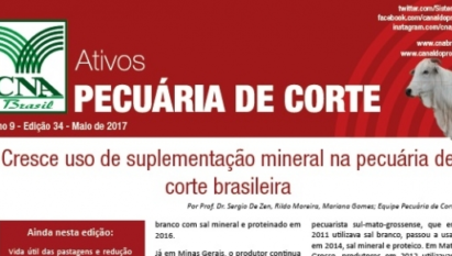 ATIVOS PECUÁRIA DE CORTE: CRESCE USO DE SUPLEMENTAÇÃO MINERAL NA PECUÁRIA DE CORTE BRASILEIRA / MAIO 2017