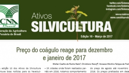 ATIVOS SILVICULTURA: PREÇO DO COÁGULO REAGE PARA DEZEMBRO E JANEIRO DE 2017 / MARÇO 2017