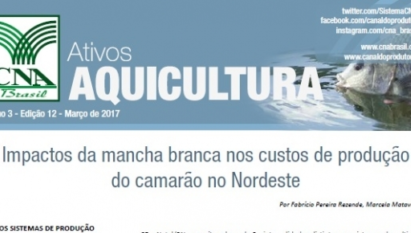 ATIVOS AQUICULTURA: IMPACTOS DA MANCHA BRANCA NOS CUSTOS DE PRODUÇÃO DO CAMARÃO NO NORDESTE / MARÇO 2017