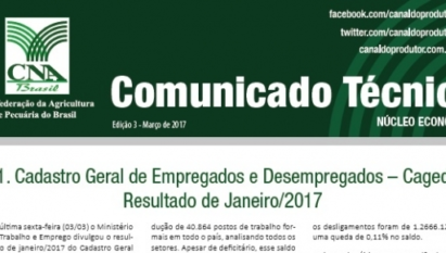 COMUNICADO TÉCNICO: NÚCLEO ECONÔMICO - EDIÇÃO 3 / MARÇO 2017