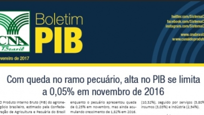 BOLETIM PIB: COM QUEDA NO RAMO PECUÁRIO, ALTA NO PIB SE LIMITA A 0,05% EM NOVEMBRO DE 2016 / FEVEREIRO 2016