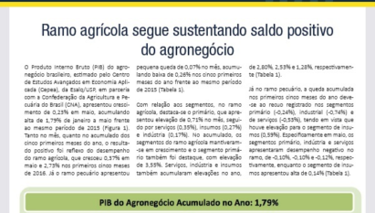 BOLETIM PIB: RAMO AGRÍCOLA SEGUE SUSTENTANDO SALDO POSITIVO DO AGRONEGÓCIO / AGOSTO 2016