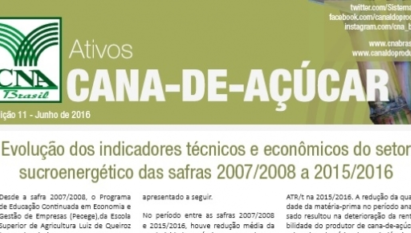 ATIVOS CANA-DE-AÇÚCAR: EVOLUÇÃO DOS INDICADORES TÉCNICOS E ECONÔMICOS DO SETOR SUCROENERGÉTICO DAS SAFRAS 2007/2008 A 2015/2016 / JUNHO 2016