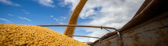 Exportações do Agro batem recorde em 2022