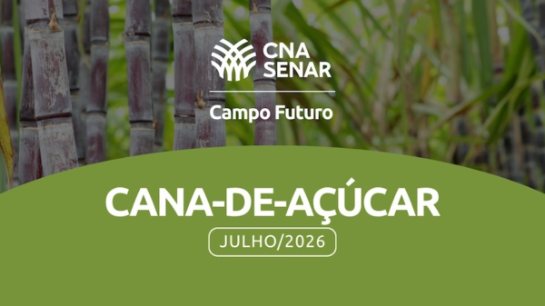 Portal CNA Brasil