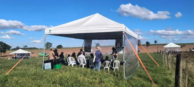 Uso de planta de cobertura mobiliza 70 produtores em Dia de Campo em Cruzeiro do Sul