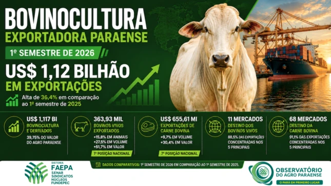 Exportações da bovinocultura paraense superam US$ 1,1 bilhão no 1º semestre de 2026