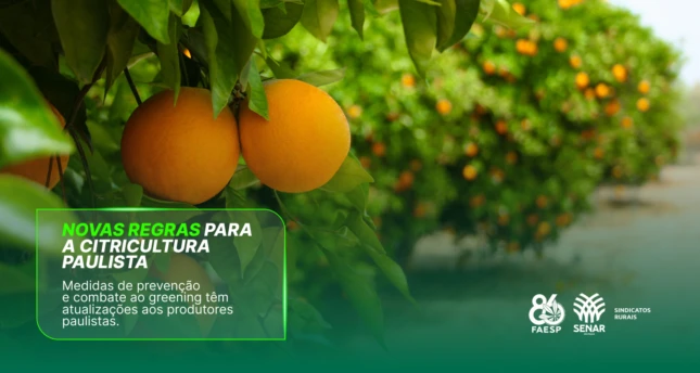 Medidas de prevenção e combate ao greening têm atualizações aos produtores paulistas