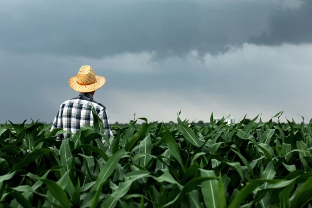 Nova lei fortalece seguro rural e protege recursos da subvenção, afirma Sistema Faep