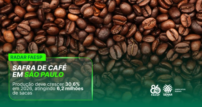 Safra de café em São Paulo deve crescer 30,6% em 2026, atingindo 6,2 milhões de sacas