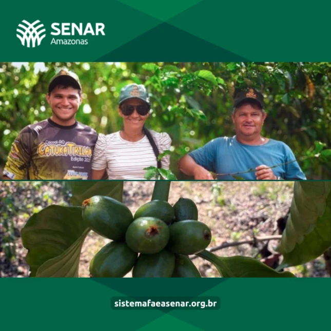 Produtor assistido pela ATeG do Senar-AM é classificado na fase nacional do Concurso de Qualidade de Cafés: The Best of Canephora