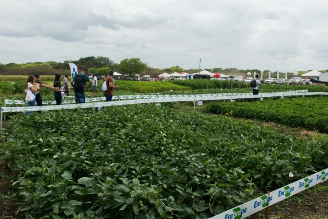 ExpoCariri 2026 reunirá produtores e empresas do agronegócio em Barbalha, no Ceará, com expectativa de R$ 50 milhões em negócios