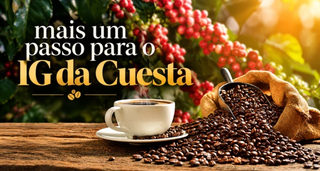 Café da Cuesta Paulista avança para conquistar Denominação de Origem