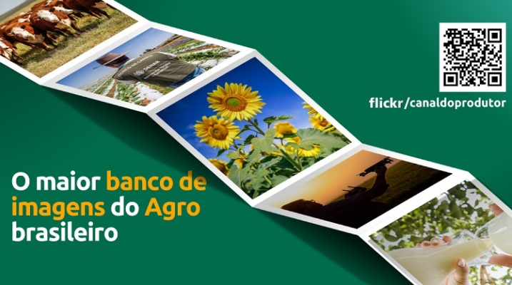Flickr do Sistema CNA/Senar oferece imagens atualizadas do agro