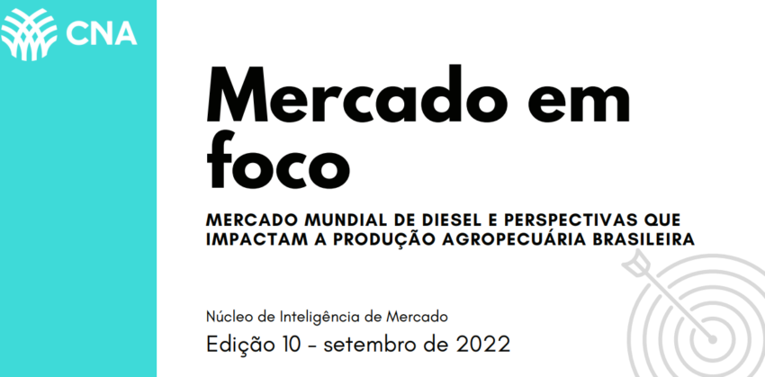 Mercado em foco