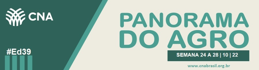 IMAGEM PA 24 A 28 DE OUTUBRO
