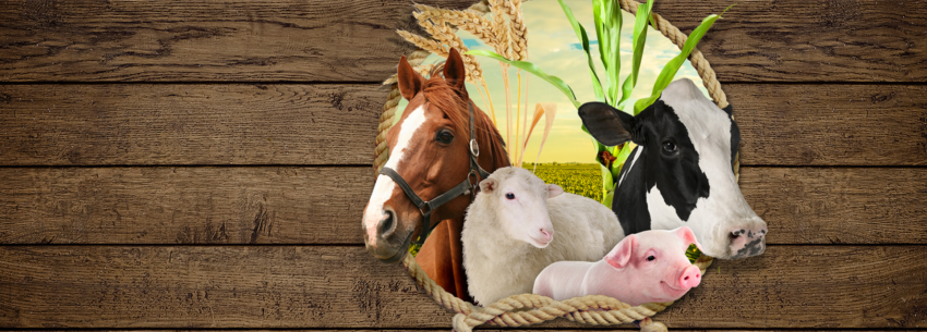 Agropecuaria