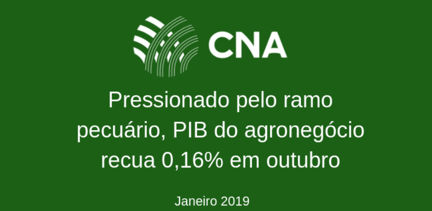 PIB DO AGRONEGOCIO1