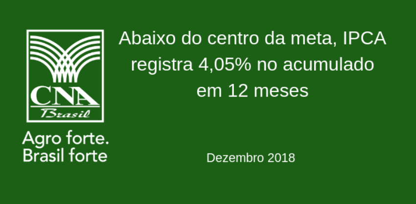 PIB DO AGRONEGOCIO1