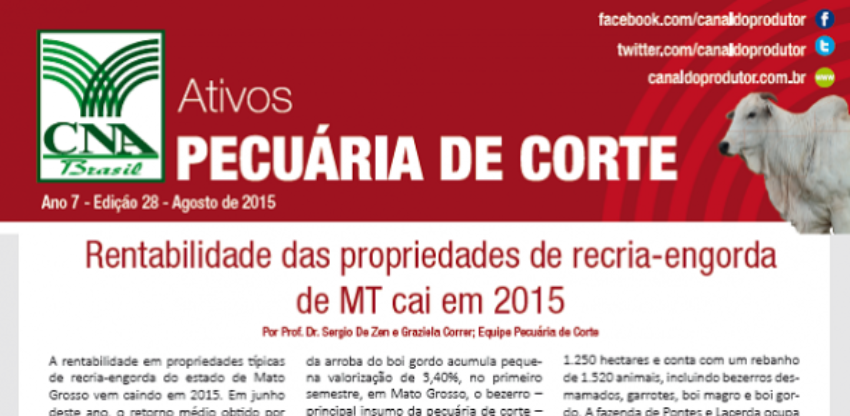Ativos 0 0 740174002015149169961