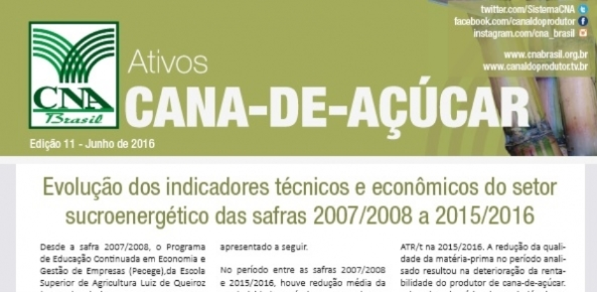 Cana ativos 0 505860002015149169961