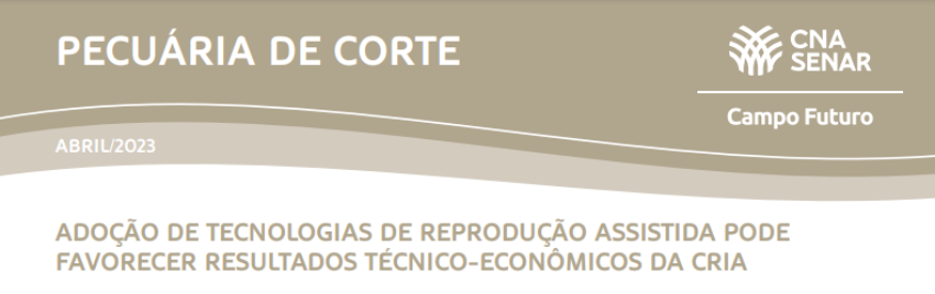 Pecuaria de corte