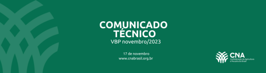 COMUNICADO TECNICO 11