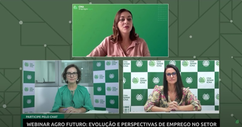Live empregos