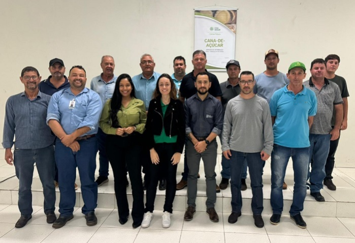 Cianorte cf cana