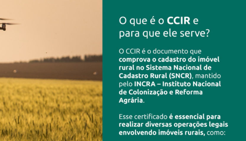 FAESC CAPA 26