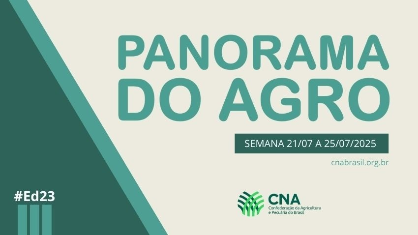 IMAGEM PA 21 A 25 DE JULHO