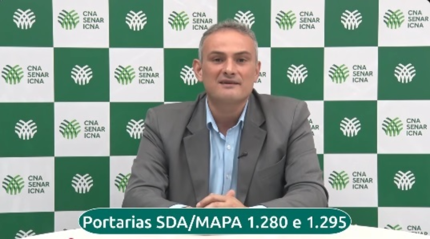 Rafa transporte