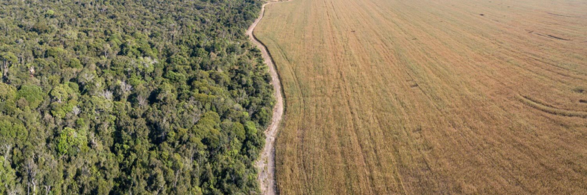 Area de fronteira site