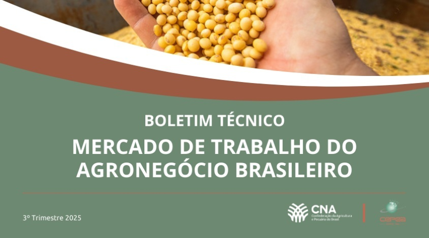 Mercado de trabalho