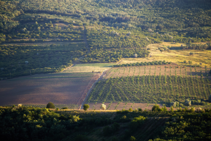 Hill slope with growing trees village road with truck forest moldova scaled
