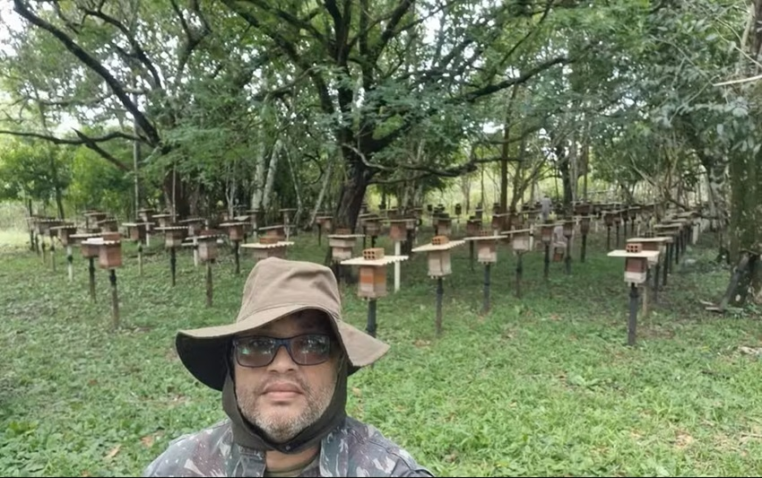 Gilberto 2 senar abelhas