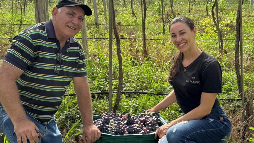 Valparaiso Vinhos e Vinhedos